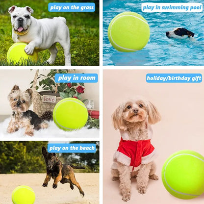 24CM Giant Tennis Ball For Dog Chew Toy Pet Dog Interactive Toys Big Inflatable Tennis Ball Pet Supplies Outdoor Cricket Dog Toy