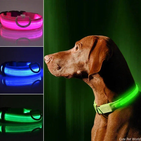 Pet Dog LED Glowing Collar USB Rechargeable Night Light Luminous Flashing Necklace Anti-Lost Outdoor Walking Safety Accesorios
