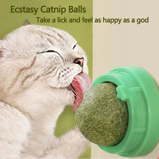 Catnip Cat Toys Wall Ball Clean Mouth Promote Digestion Pet Toys for Cats Kitten Candy Licking Snacks Mint Ball Cat Accessories
