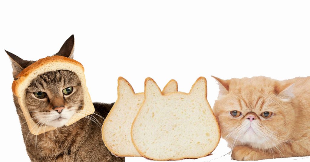 what do cats like to eat for breakfast?