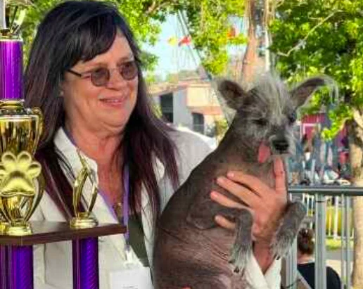 2023 'world's ugliest dog' winner: scooter's tale of resilience