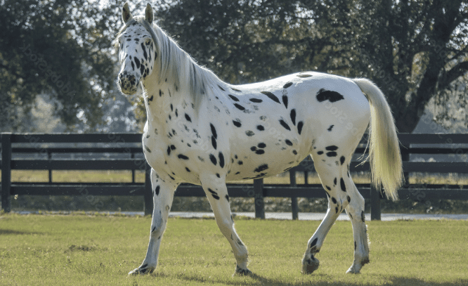 screen shot 2023 10 10 at 2.30.25 pm