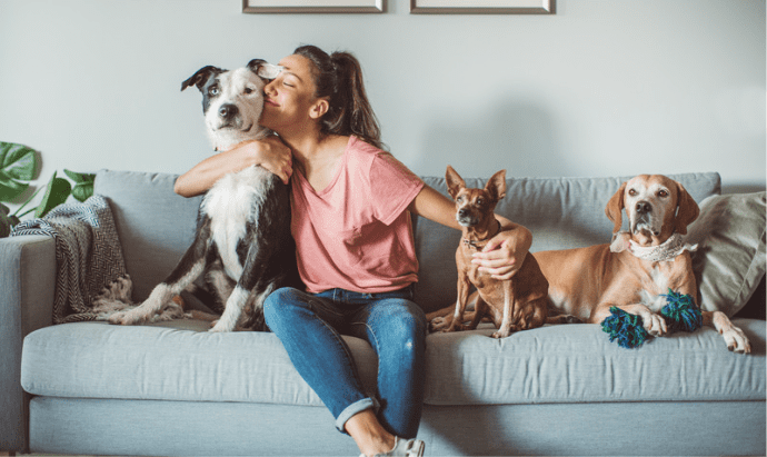 common health concerns in pets