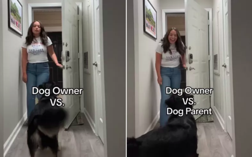 dog parent vs. owner